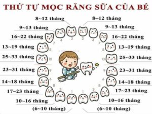 Thứ tự mọc răng đúng ở trẻ con